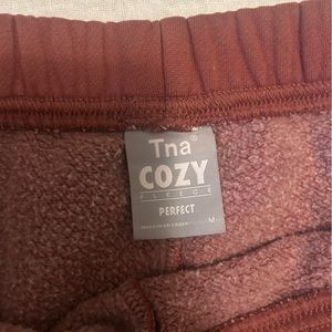 Aritzia TNA sweatshorts